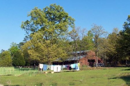 My Rural Roots: Where I am From Image
